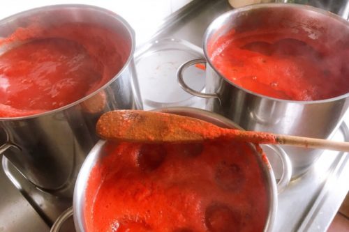 スイス・イタリア語圏でトマトソース煮込み